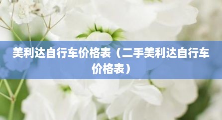 美利达自行车价格表（二手美利达自行车价格表）