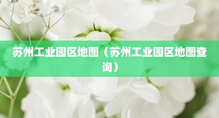 苏州工业园区地图（苏州工业园区地图查询）