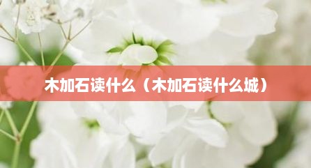 木加石读什么（木加石读什么城）