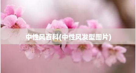 中性风百科(中性风发型图片)