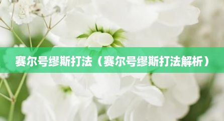 赛尔号缪斯打法（赛尔号缪斯打法解析）