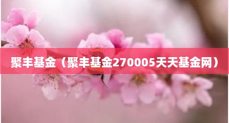 聚丰基金（聚丰基金270005天天基金网）