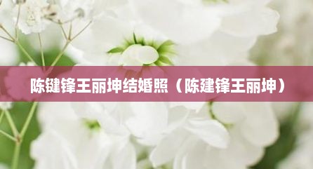 陈键锋王丽坤结婚照（陈建锋王丽坤）