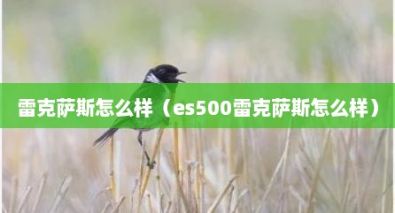 雷克萨斯怎么样（es500雷克萨斯怎么样）