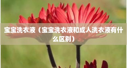 宝宝洗衣液（宝宝洗衣液和成人洗衣液有什么区别）