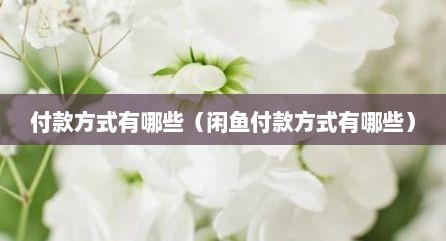 付款方式有哪些（闲鱼付款方式有哪些）