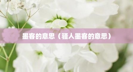 墨客的意思（骚人墨客的意思）