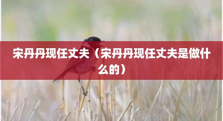 宋丹丹现任丈夫（宋丹丹现任丈夫是做什么的）