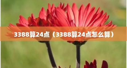 3388算24点（3388算24点怎么算）