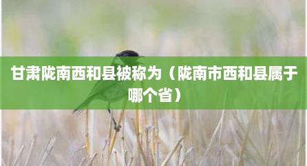 甘肃陇南西和县被称为（陇南市西和县属于哪个省）