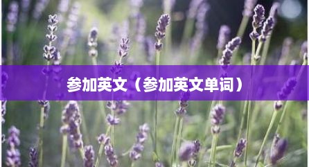 参加英文（参加英文单词）