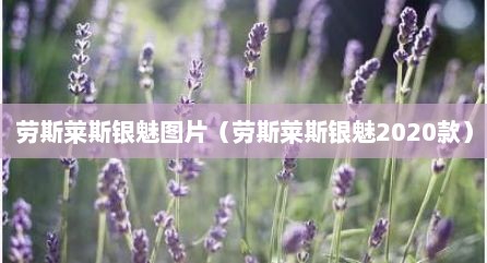 劳斯莱斯银魅图片（劳斯莱斯银魅2020款）