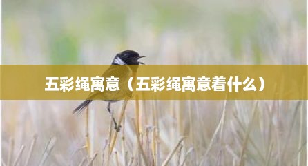 五彩绳寓意（五彩绳寓意着什么）