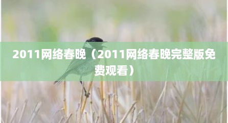 2011网络春晚（2011网络春晚完整版免费观看）