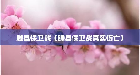 滕县保卫战（滕县保卫战真实伤亡）