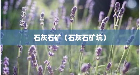 石灰石矿（石灰石矿坑）