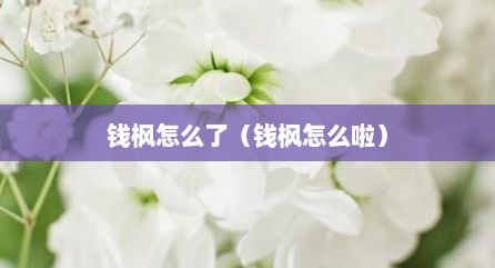 钱枫怎么了（钱枫怎么啦）