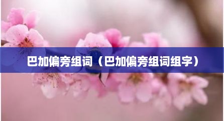 巴加偏旁组词（巴加偏旁组词组字）