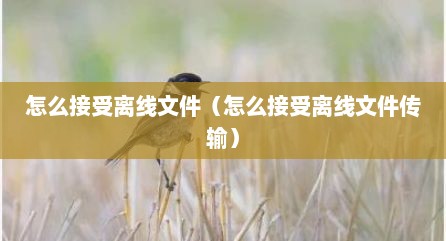 怎么接受离线文件（怎么接受离线文件传输）