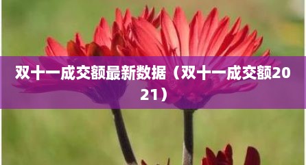 双十一成交额最新数据（双十一成交额2021）