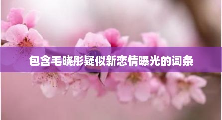 包含毛晓彤疑似新恋情曝光的词条