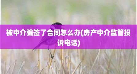 被中介骗签了合同怎么办(房产中介监管投诉电话)