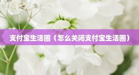 支付宝生活圈（怎么关闭支付宝生活圈）