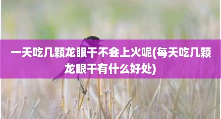 一天吃几颗龙眼干不会上火呢(每天吃几颗龙眼干有什么好处)