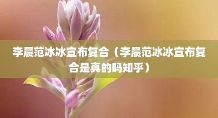 李晨范冰冰宣布复合（李晨范冰冰宣布复合是真的吗知乎）