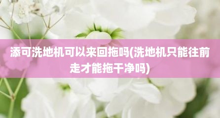 添可洗地机可以来回拖吗(洗地机只能往前走才能拖干净吗)