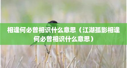 相逢何必曾相识什么意思（江湖孤影相逢何必曾相识什么意思）