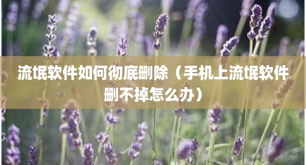 流氓软件如何彻底删除（手机上流氓软件删不掉怎么办）