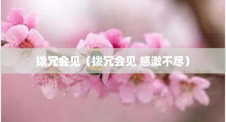 拨冗会见（拨冗会见 感激不尽）