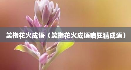 笑指花火成语（笑指花火成语疯狂猜成语）