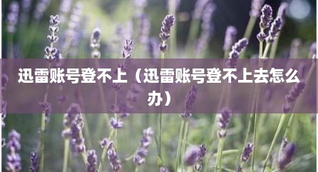 迅雷账号登不上（迅雷账号登不上去怎么办）