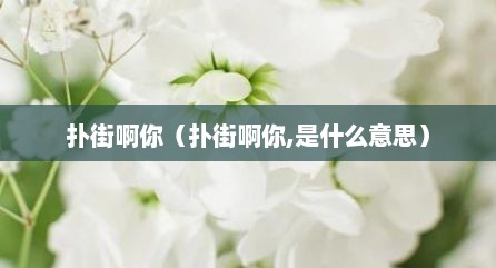 扑街啊你（扑街啊你,是什么意思）