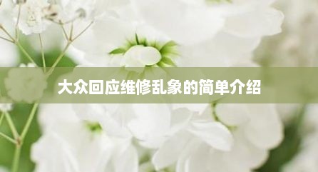 大众回应维修乱象的简单介绍