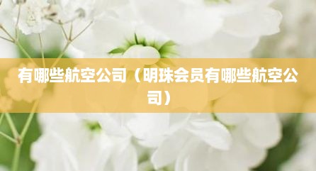 有哪些航空公司（明珠会员有哪些航空公司）