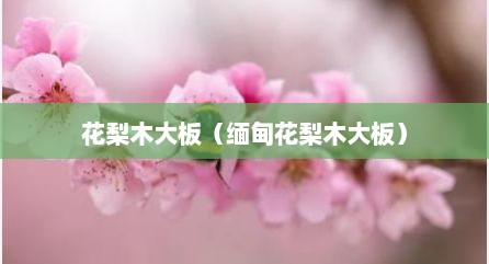 花梨木大板（缅甸花梨木大板）