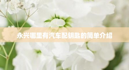 永兴哪里有汽车配钥匙的简单介绍