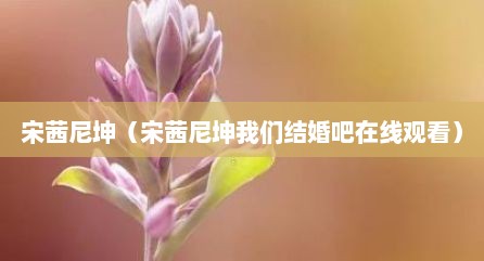 宋茜尼坤（宋茜尼坤我们结婚吧在线观看）