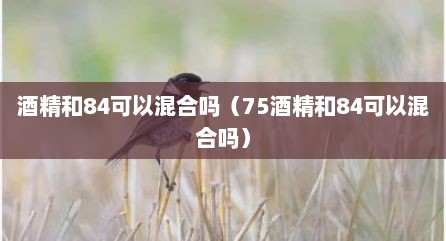 酒精和84可以混合吗（75酒精和84可以混合吗）