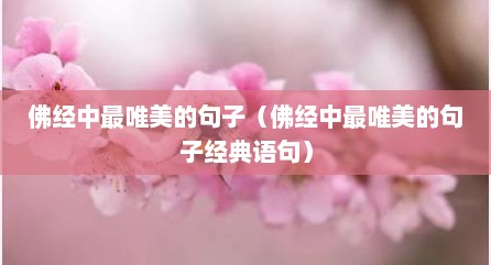 佛经中最唯美的句子（佛经中最唯美的句子经典语句）