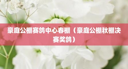 豪庭公棚赛鸽中心春棚（豪庭公棚秋棚决赛奖鸽）