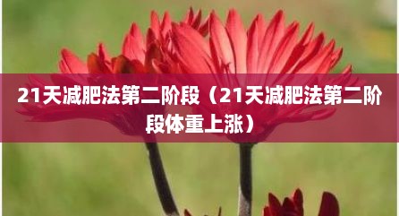 21天减肥法第二阶段（21天减肥法第二阶段体重上涨）