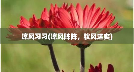 凉风习习(凉风阵阵，秋风送爽)