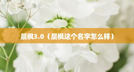 晨枫3.0（晨枫这个名字怎么样）