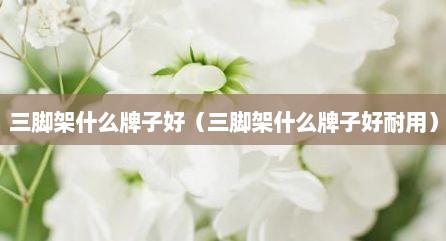 三脚架什么牌子好（三脚架什么牌子好耐用）