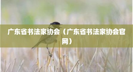 广东省书法家协会（广东省书法家协会官网）