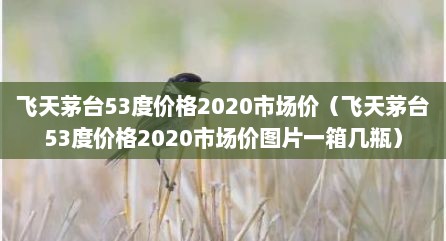 飞天茅台53度价格2020市场价（飞天茅台53度价格2020市场价图片一箱几瓶）